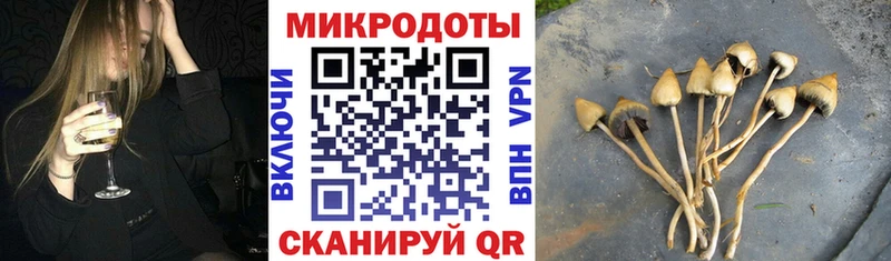 Псилоцибиновые грибы Psilocybe  Далматово 